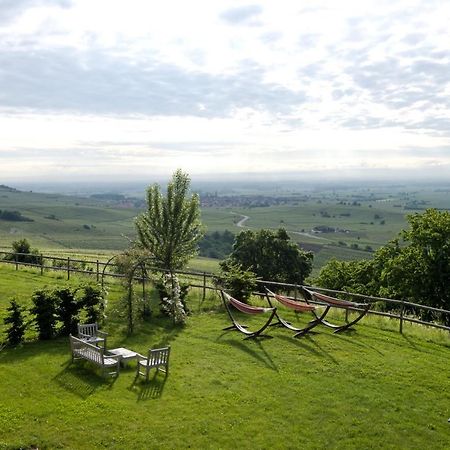 Le Clos Saint-Vincent Ribeauvillé Eksteriør bilde