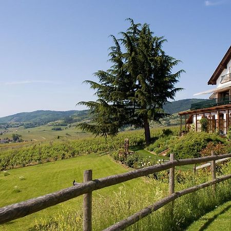 Le Clos Saint-Vincent Ribeauvillé Eksteriør bilde