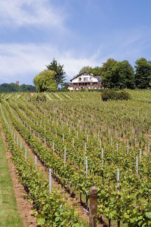 Le Clos Saint-Vincent Ribeauvillé Eksteriør bilde