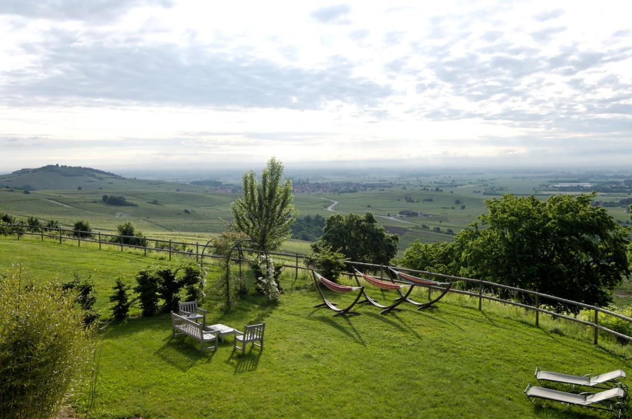 Le Clos Saint-Vincent Ribeauvillé Eksteriør bilde
