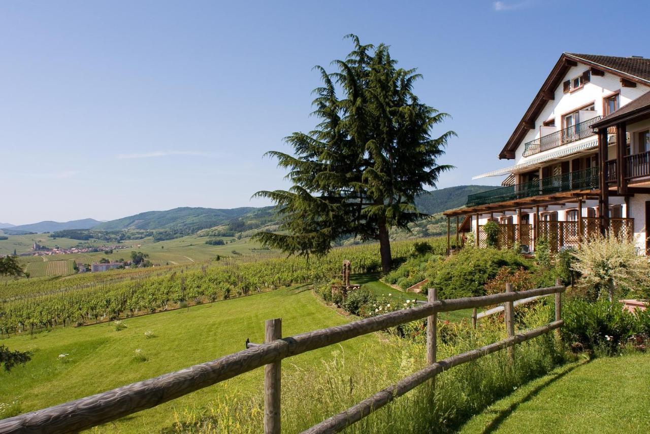 Le Clos Saint-Vincent Ribeauvillé Eksteriør bilde